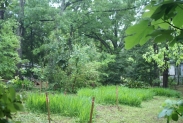 One Acre Outdoor Facility