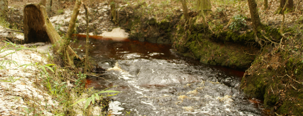 The SoapStone Creek