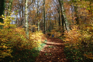 Woodlands_AuthenticManhood02