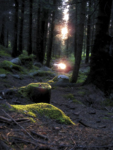 Woodlands_MasculineHeart01