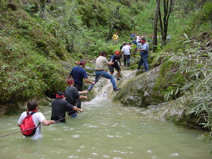 Woodlands_MasculineHeart02